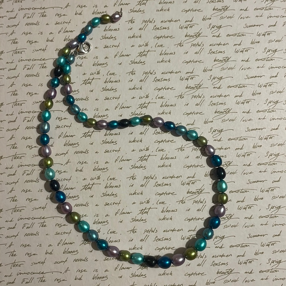 Multi Colored Beaded Necklace